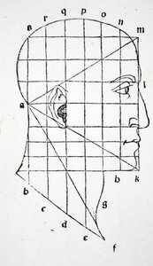 Illustration from 